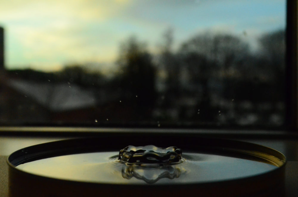 Droplets on a petal surface
