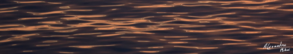 Water surface dynamics
