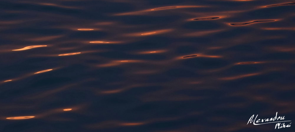 Evening light through water