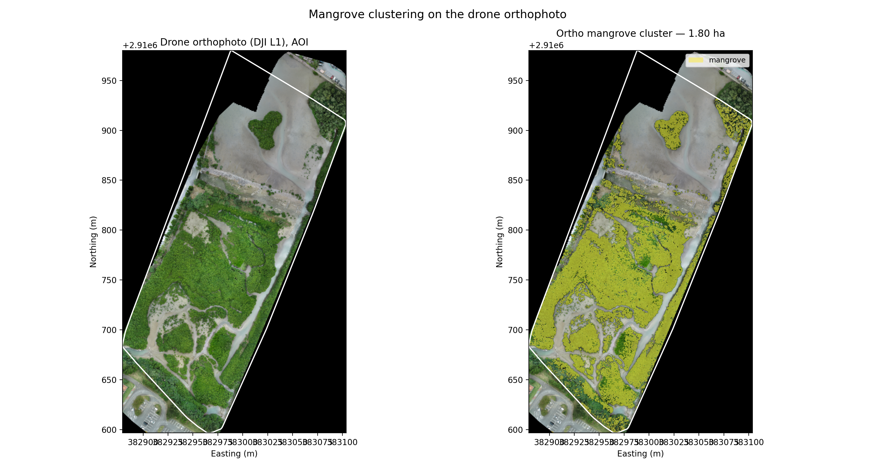Orthophoto of an Okinawan mangrove with clustered vegetation classes overlaid